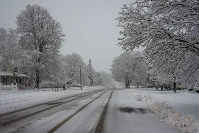 A serene winter landscape of a snow-covered road and trees in Plainview, Minnesota.